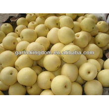 Fresh crown pear